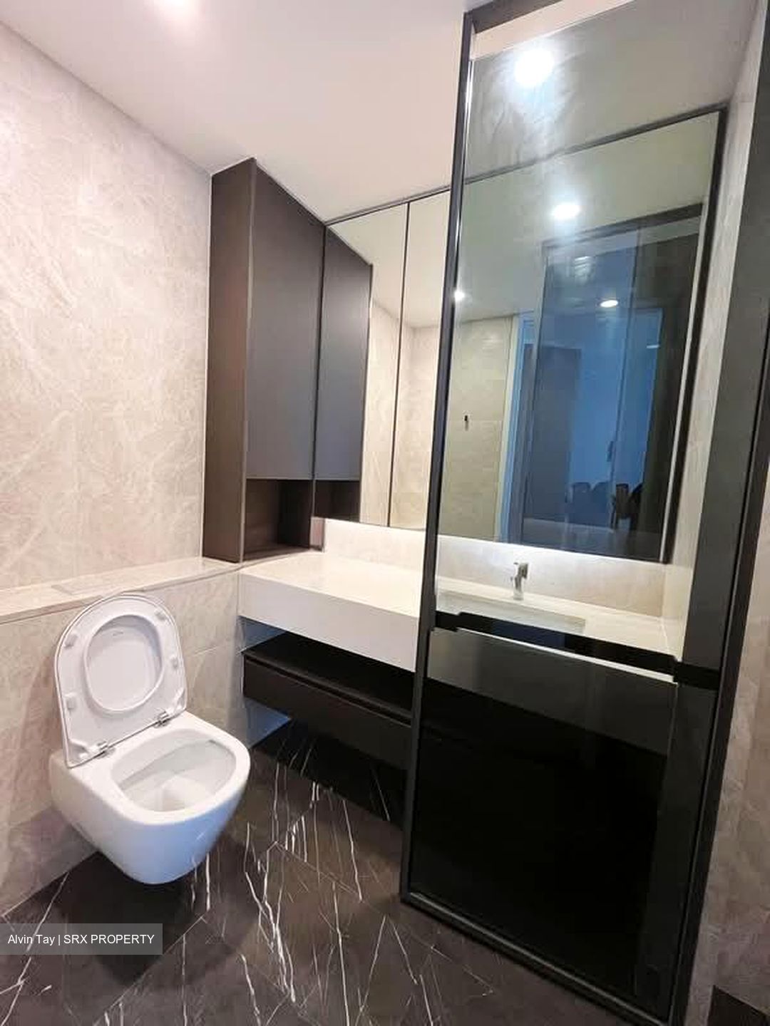 Amber Park (D15), Condominium #562985951